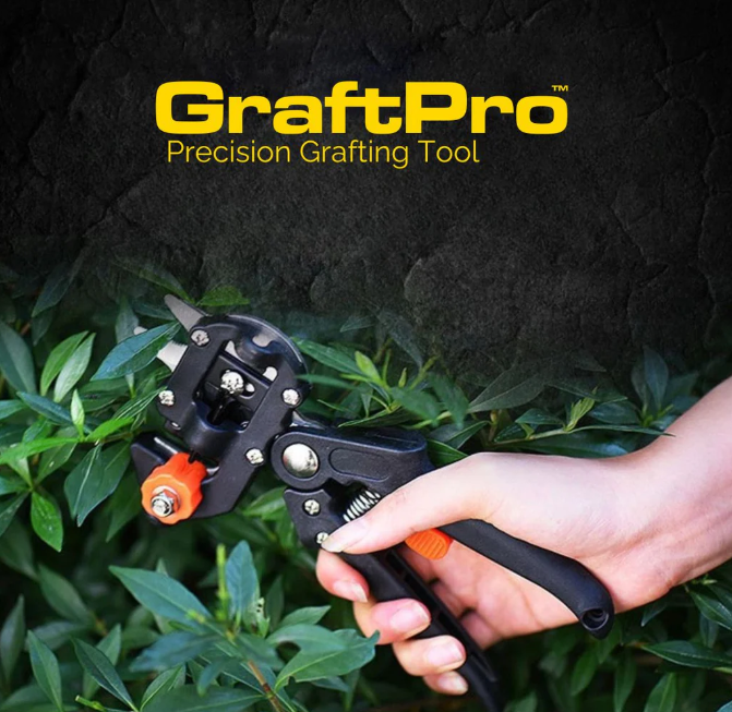 🔥Hot Sale🔥 Precision Grafting Tool