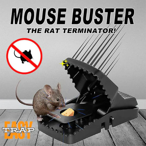 Top-Rated Black Plastic Mouse Traper-Buy 1 get 1 free