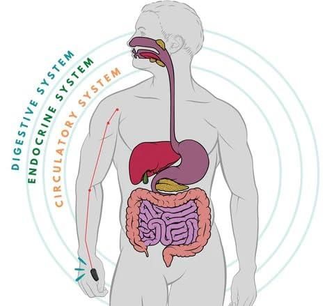 MedPulse |Sugar Control LI4 Acupressure Point Clip