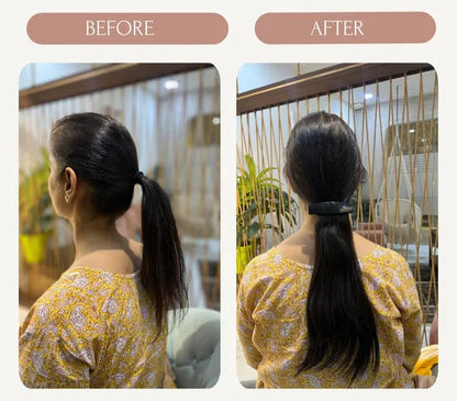 Ponytail Back Clip Extension