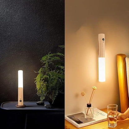 Motion Sensor Portable Light